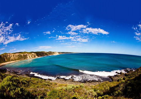 For The Birds Yallingup - Tourism Caloundra 31