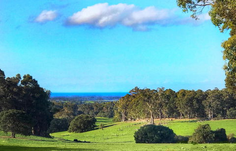 For The Birds Yallingup - Tourism Caloundra 2