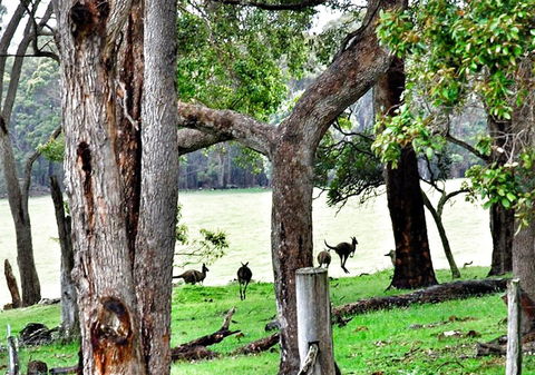 For The Birds Yallingup - Tourism Caloundra 22