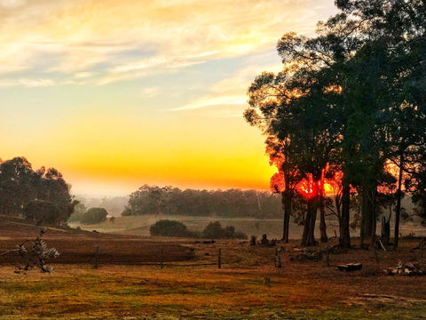 For The Birds Yallingup - Tourism Caloundra 24