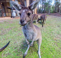 Yelverton Brook Eco Spa Retreat  Conservation Sanctuary - Tourism Caloundra