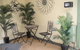 Armadale Cottage Bed & Breakfast - thumb 37