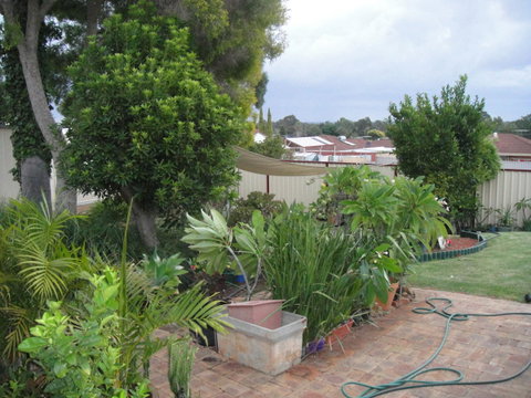 Armadale Cottage Bed & Breakfast - Tourism Caloundra 39