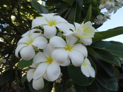 Broome - Tourism Caloundra 3