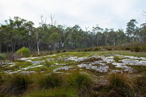 Denmark Forest Retreat - Tourism Caloundra 26