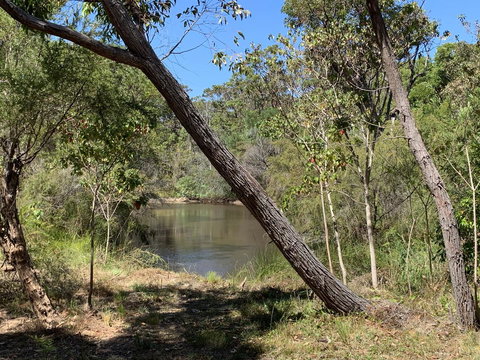 Denmark Forest Retreat - Tourism Caloundra 32