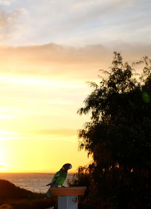Peppy Beach Ocean Views - Tourism Caloundra 12