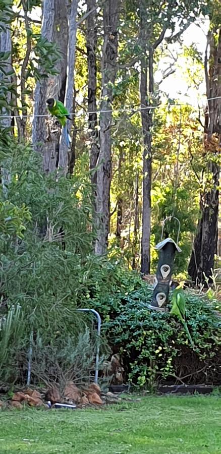 Di's Cabin In Dwellingup - Tourism Caloundra 6