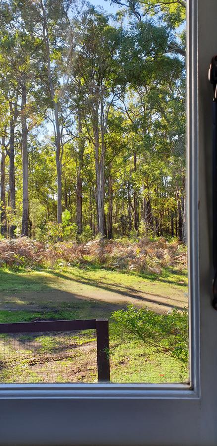 Di's Cabin In Dwellingup - Tourism Caloundra 2