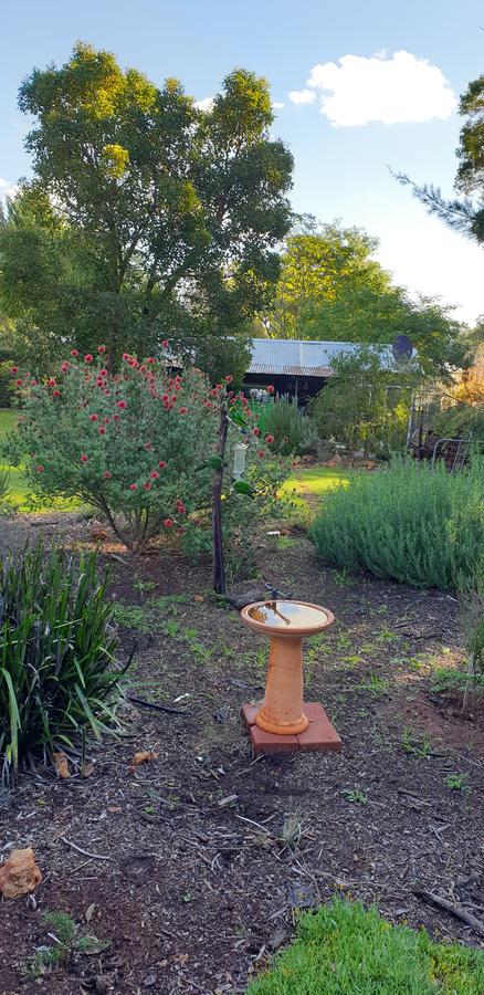 Di's Cabin In Dwellingup - Tourism Caloundra 14