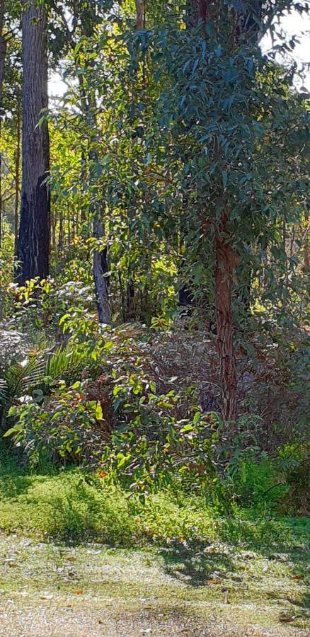 Di's Cabin In Dwellingup - Tourism Caloundra 8