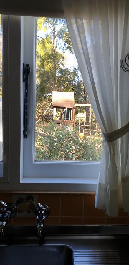 Di's Cabin In Dwellingup - Tourism Caloundra 15