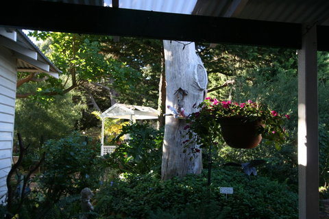 Rosebridge House Bed & Breakfast Adult Retreat - Tourism Caloundra 36