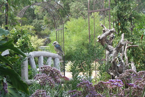 Rosebridge House Bed & Breakfast Adult Retreat - Tourism Caloundra 12