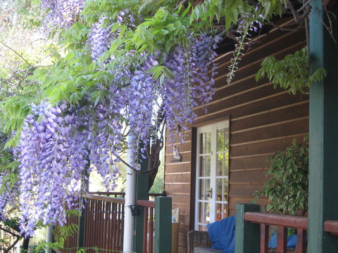 RoseMoore Bed & Breakfast - Tourism Caloundra 11