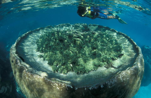 Sal Salis Ningaloo Reef - Tourism Caloundra 8