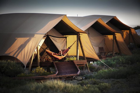 Sal Salis Ningaloo Reef - Tourism Caloundra 23