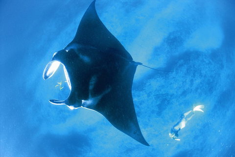 Sal Salis Ningaloo Reef - Tourism Caloundra 28