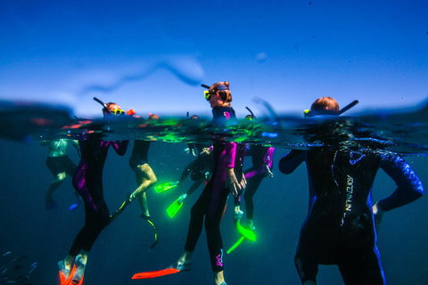 Sal Salis Ningaloo Reef - Tourism Caloundra 26