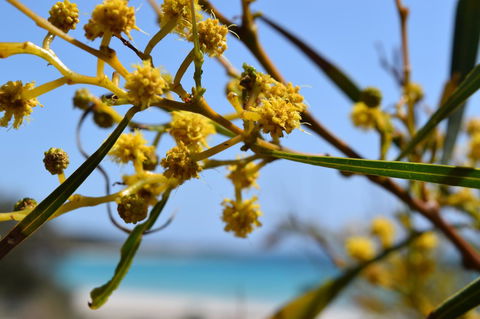 Eagle Bay House - Tourism Caloundra 28
