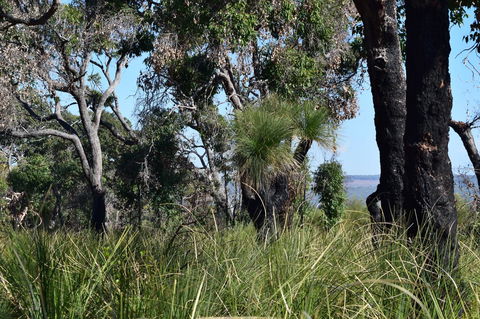 Eagle Bay House - Tourism Caloundra 32