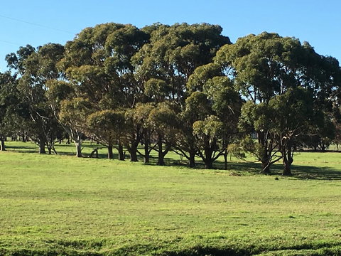 Cosy Corner Chalets - Tourism Caloundra 2