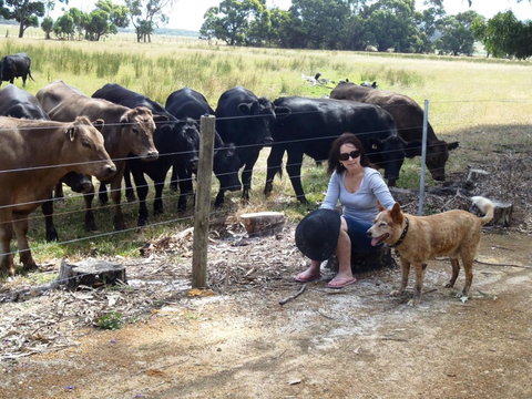 Cosy Corner Chalets - Tourism Caloundra 20