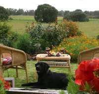 Silversprings cottages - Tourism Caloundra