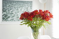 Book Kingston Beach Accommodation Vacations Tourism Caloundra Tourism Caloundra