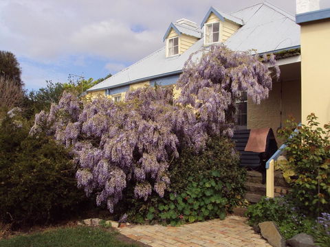 Orford's Sanda House B&B - Tourism Caloundra 40