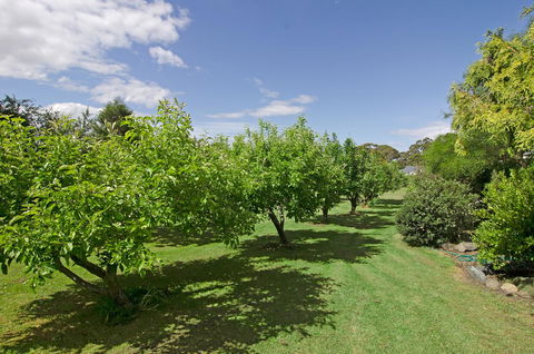 Orford's Sanda House B&B - Tourism Caloundra 37