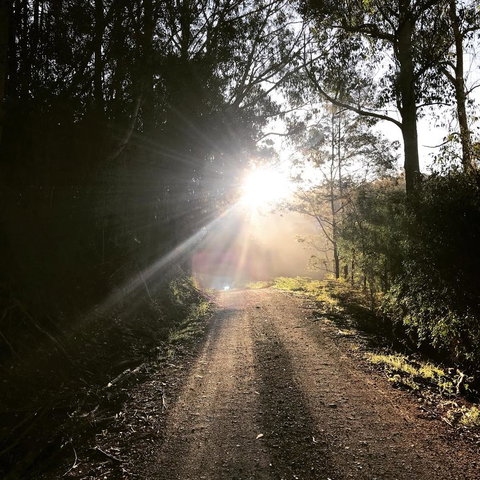 The Pear Cottage - Tourism Caloundra 23