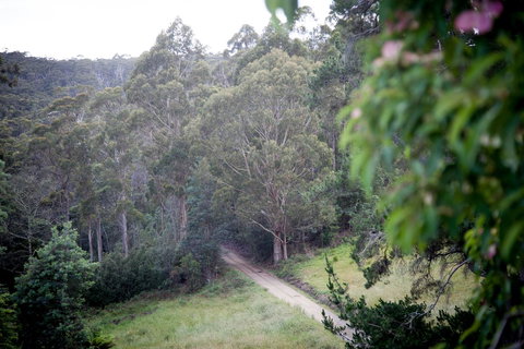 The Pear Cottage - Tourism Caloundra 19