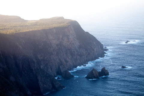 The Pear Cottage - Tourism Caloundra 20