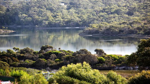 SEA EAGLE COTTAGE Amazing Views Of Bay Of Fires - Tourism Caloundra 17