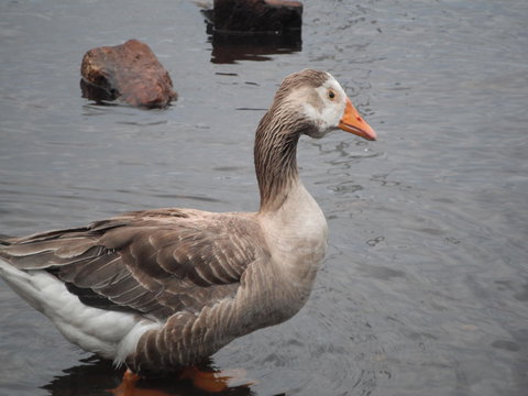 Maydena Chalet - Tourism Caloundra 39