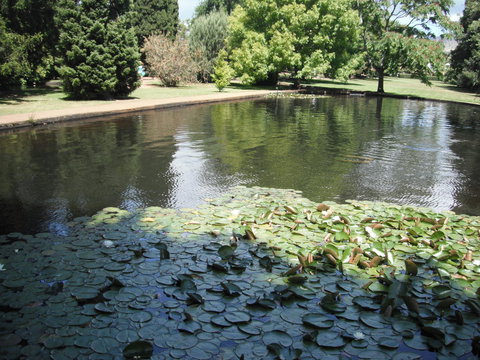 Maydena Chalet - Tourism Caloundra 23