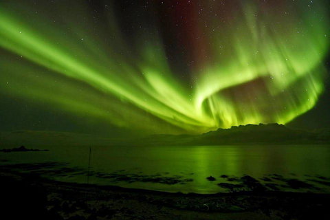 Maydena Chalet - Tourism Caloundra 37