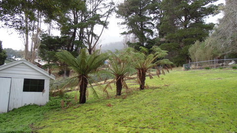 Maydena Chalet - Tourism Caloundra 44