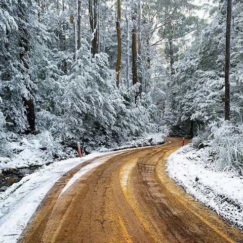 Maydena Chalet - Tourism Caloundra 41