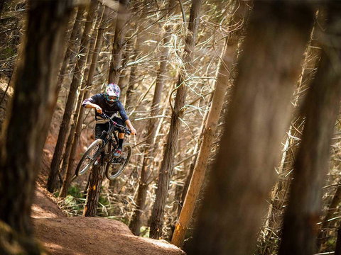 Maydena Chalet - Tourism Caloundra 6