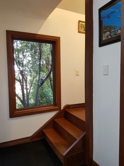 Riverside Studioâ˜†Privateâ˜† - Tourism Caloundra 12