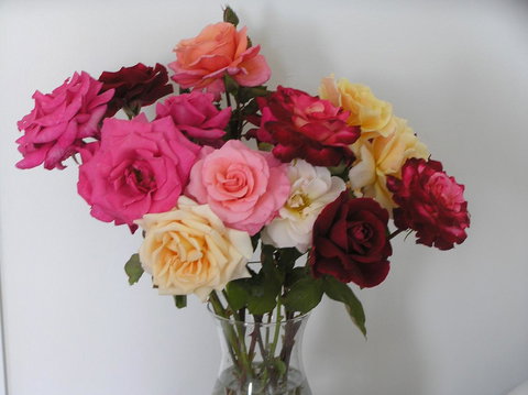 Auldington Hotel - Tourism Caloundra 30