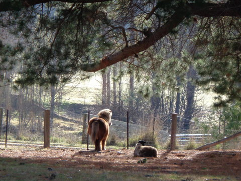 Post House Cottage - Tourism Caloundra 17