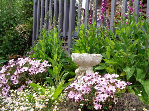 Post House Cottage - Tourism Caloundra 19