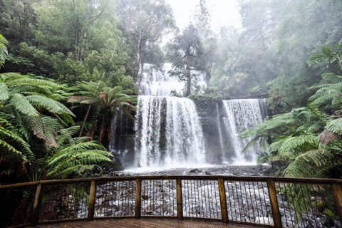 Post House Cottage - Tourism Caloundra 23