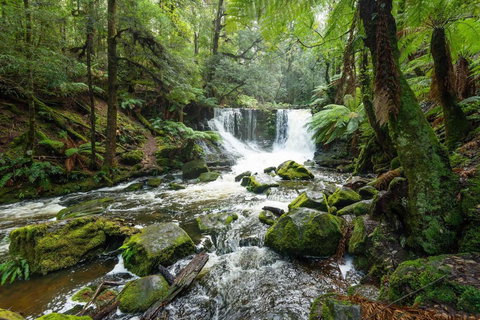 Post House Cottage - Tourism Caloundra 22