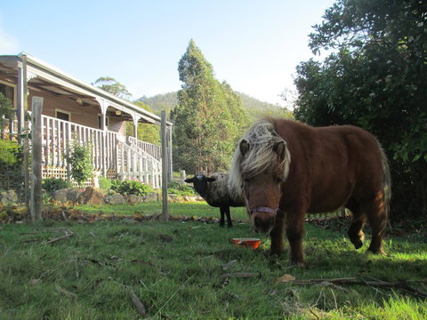 Post House Cottage - Tourism Caloundra 3