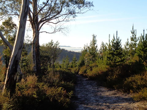 Post House Cottage - Tourism Caloundra 24
