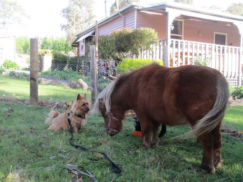 Post House Cottage - Tourism Caloundra 4